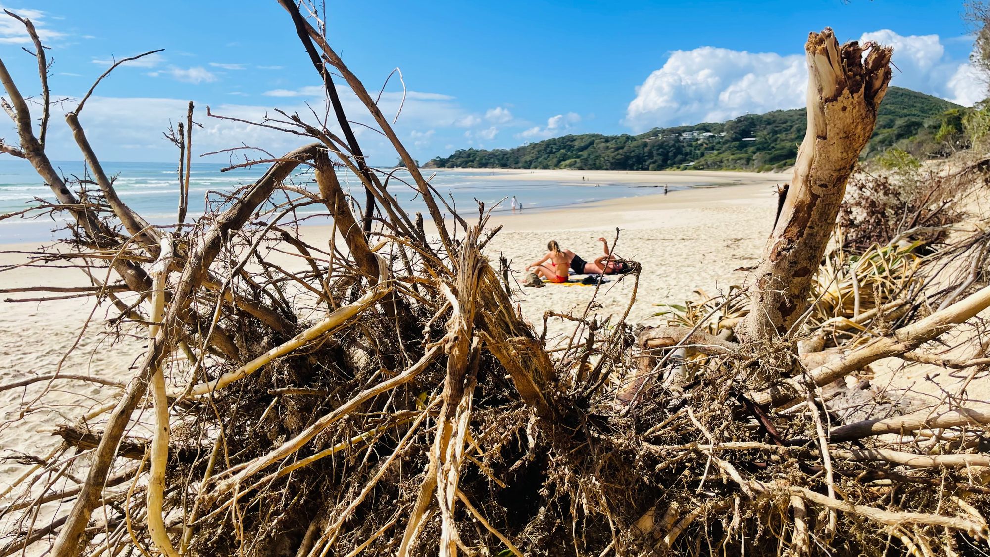 Protecting Byron's Beaches